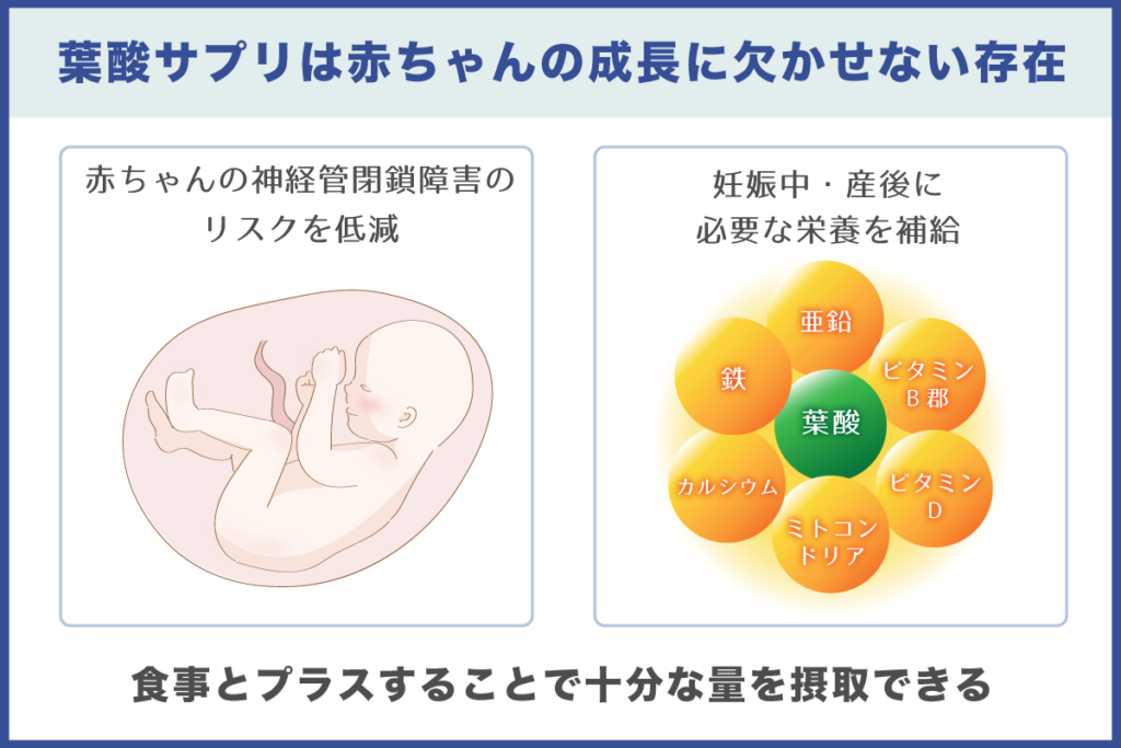 葉酸サプリが妊活・妊娠中に欠かせない理由