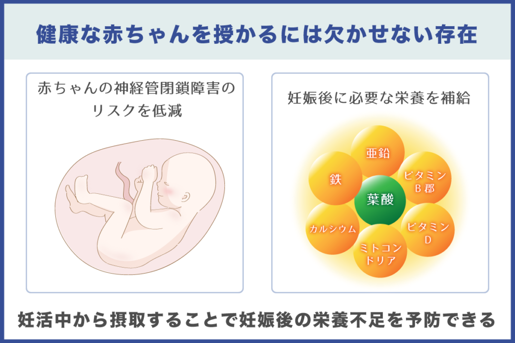 妊活サプリは赤ちゃんの成長に欠かせないもの。