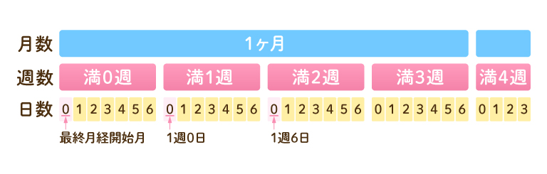 妊娠週数の数え方