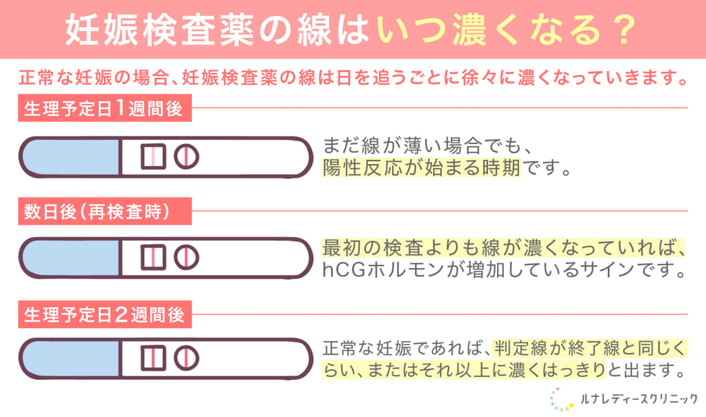 妊娠検査薬の線はいつ濃くなる？