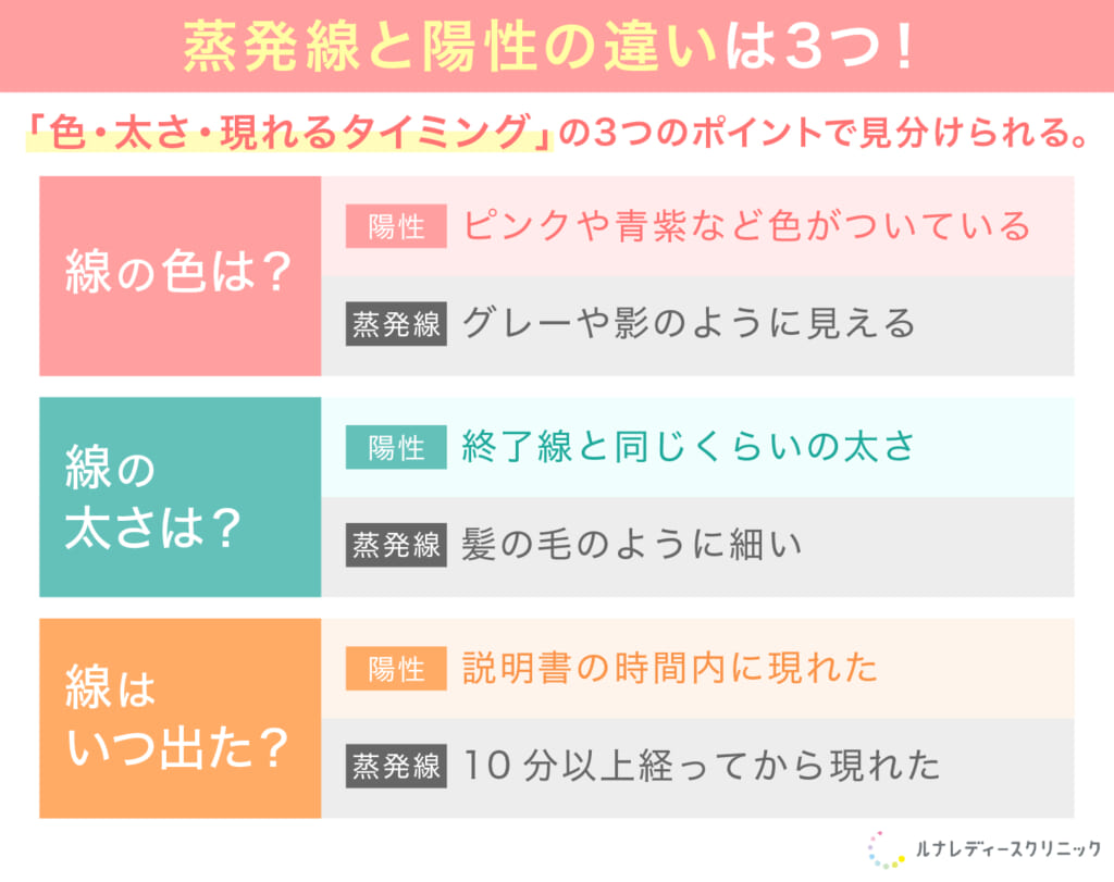 蒸発線と陽性の違いは3つ