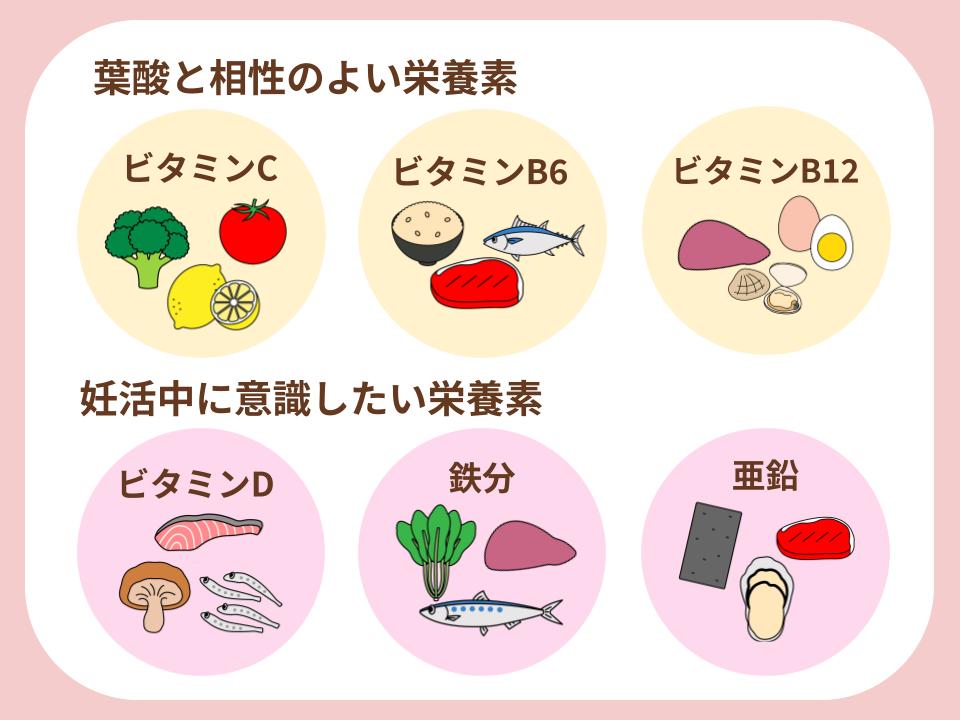 葉酸と相性のいい栄養素と妊活中に意識したい栄養素