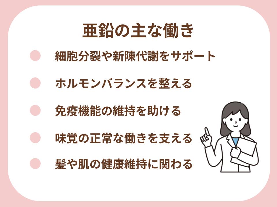 亜鉛の主な働きにについて詳細解説