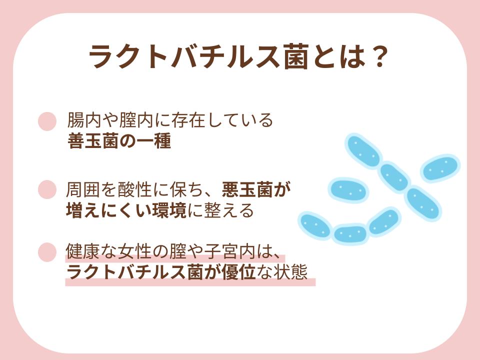 ラクトバチルス菌の特徴と働きを紹介