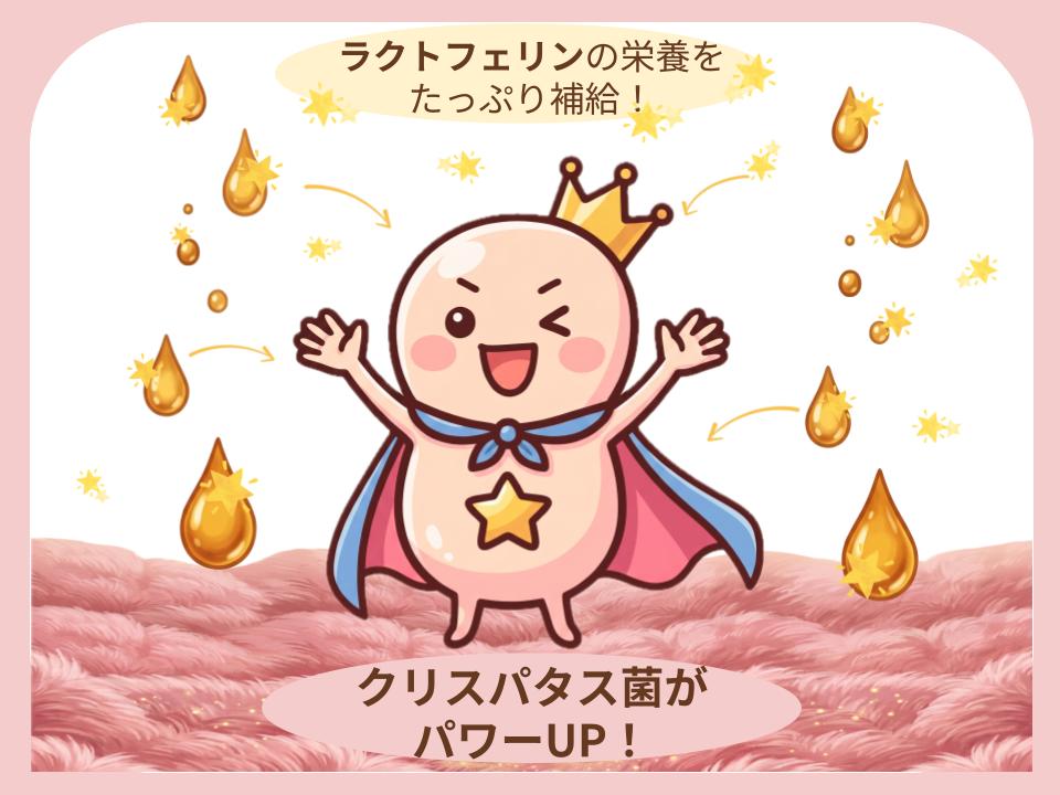 ラクトフェリンも一緒に摂取