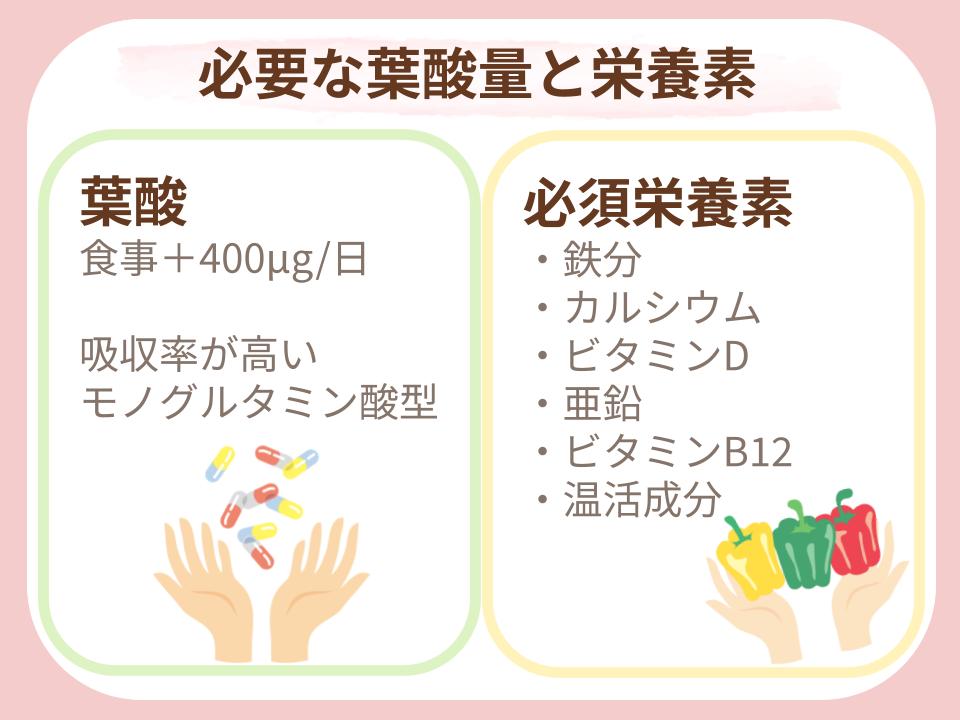 必要な葉酸量とあわあせて摂るべき必須栄養素をまとめた図解