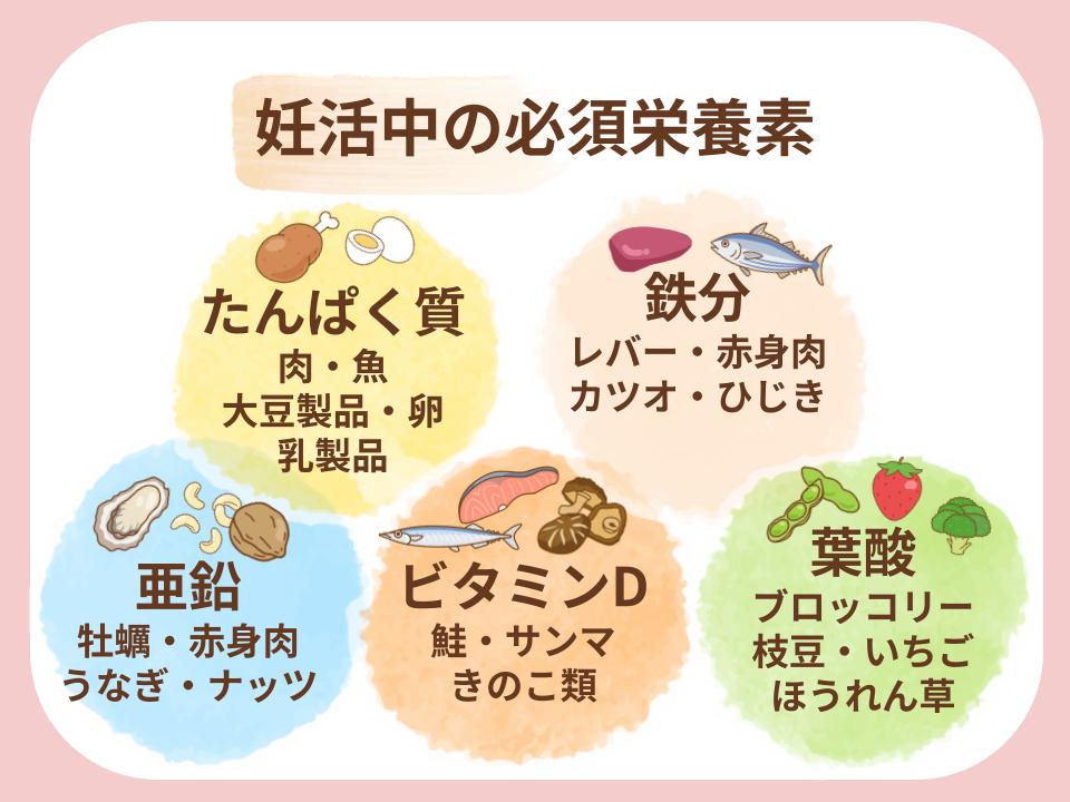 バランスよく摂りたい5つの栄養素の図解