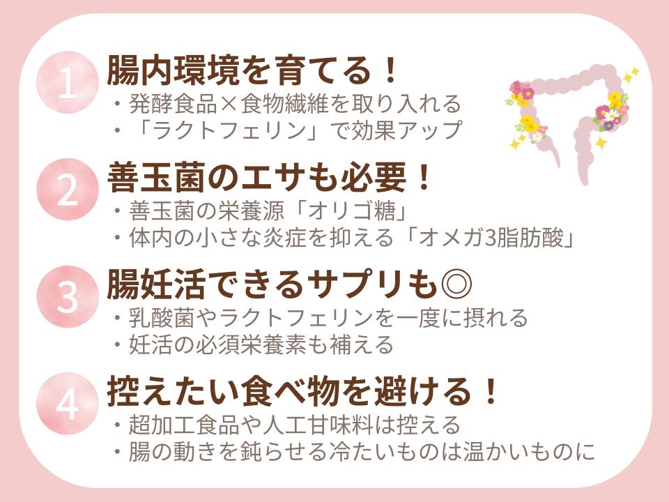 4つのポイント（腸内環境・善玉菌の餌・サプリ活用・控えたい食べ物）