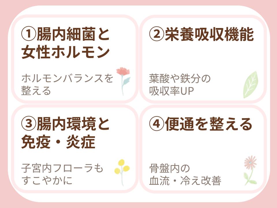 女性ホルモン・栄養吸収・免疫と炎症・便通と血流
