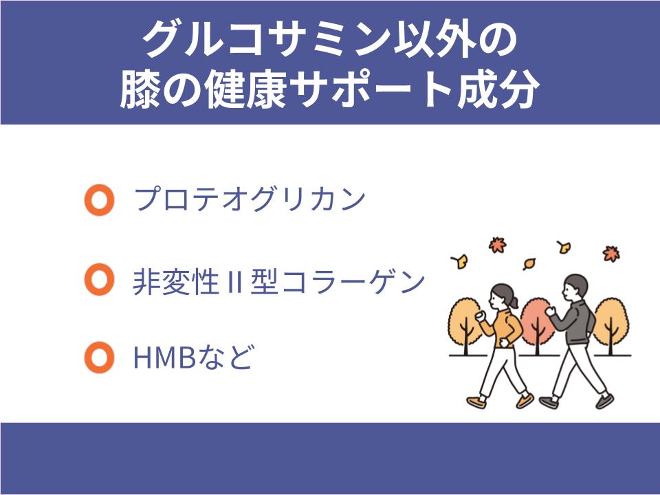 グルコサミン以外の膝の健康サポート