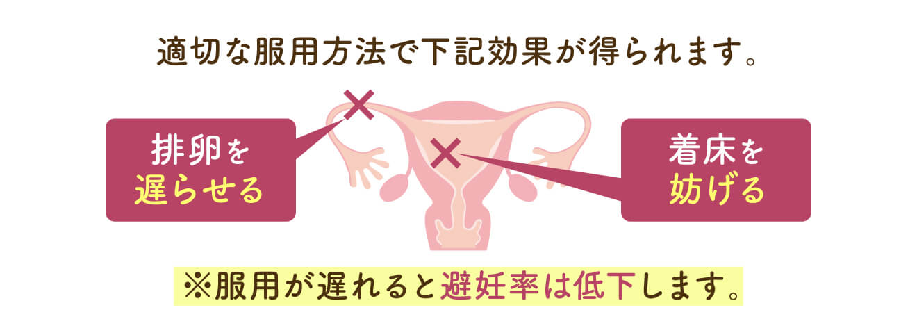 アフターピルの仕組みと効果の説明