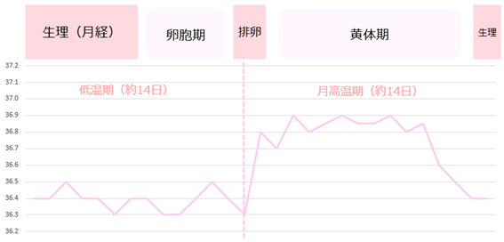 生理不順 月経不順 とは 生理が来ない妊娠以外の原因を解説